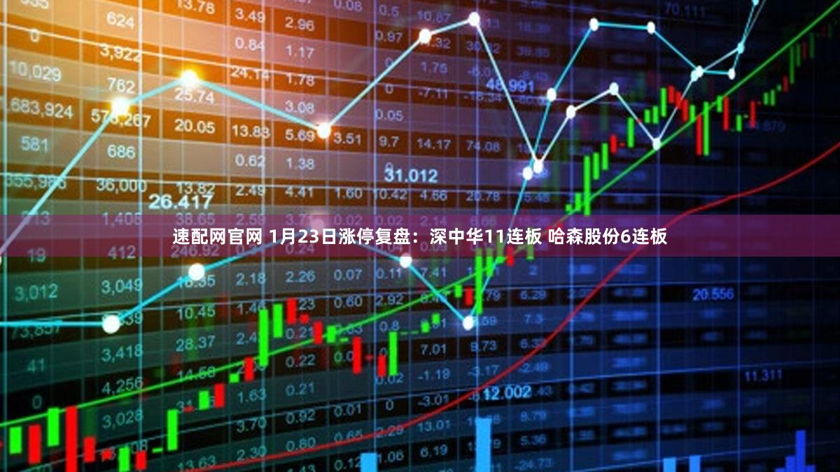 速配网官网 1月23日涨停复盘：深中华11连板 哈森股份6连板