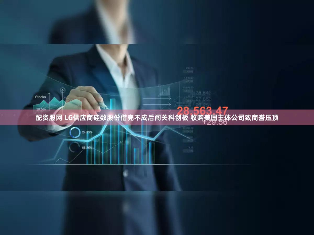 配资股网 LG供应商硅数股份借壳不成后闯关科创板 收购美国主体公司致商誉压顶