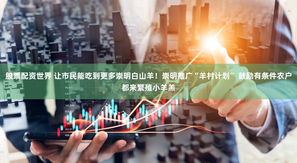 股票配资世界 让市民能吃到更多崇明白山羊！崇明推广“羊村计划” 鼓励有条件农户都来繁殖小羊羔