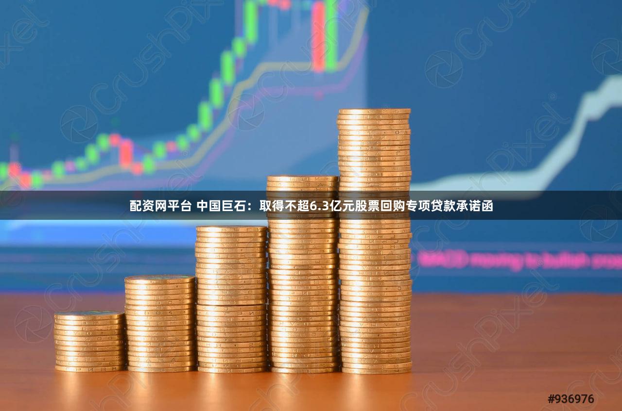 配资网平台 中国巨石：取得不超6.3亿元股票回购专项贷款承诺函