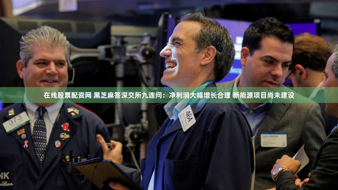 在线股票配资网 黑芝麻答深交所九连问：净利润大幅增长合理 新能源项目尚未建设