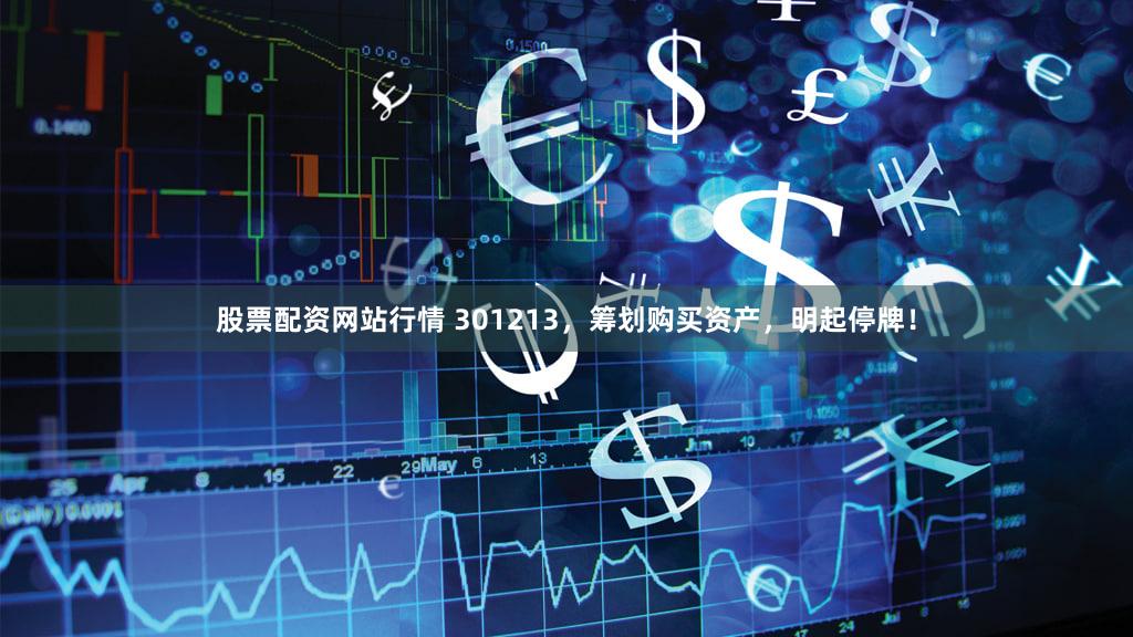 股票配资网站行情 301213，筹划购买资产，明起停牌！
